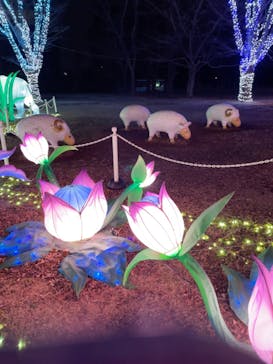 東武動物公園に投稿された画像（2021/12/24）