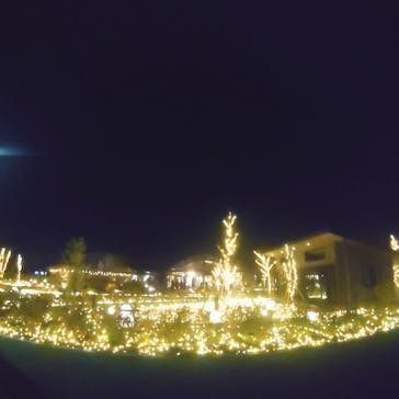 いばらきフラワーパークに投稿された画像（2021/12/24）