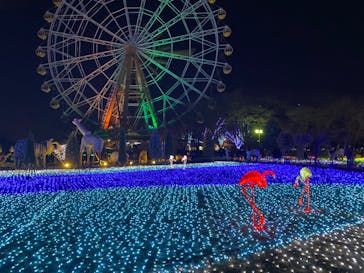 東武動物公園に投稿された画像（2021/12/24）