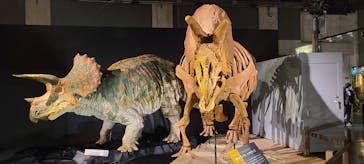 ティラノサウルス展 ～Ｔ. rex 驚異の肉食恐竜～（名古屋市科学館）に投稿された画像（2021/12/24）