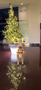 JRタワー展望室 タワー・スリーエイトに投稿された画像（2021/12/24）