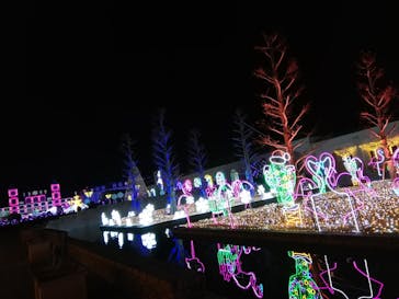 神戸イルミナージュに投稿された画像（2021/12/24）