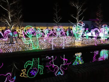 神戸イルミナージュに投稿された画像（2021/12/24）