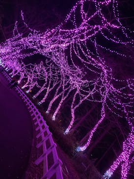 東武動物公園に投稿された画像（2021/12/24）