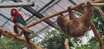 神戸どうぶつ王国に投稿された画像（2021/12/24）