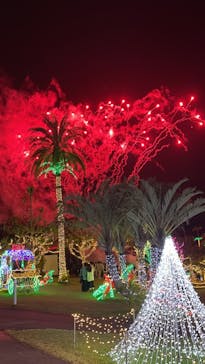 美らヤシパークオキナワ・東南植物楽園に投稿された画像（2021/12/24）