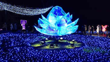 さがみ湖MORI MORIに投稿された画像（2021/12/24）