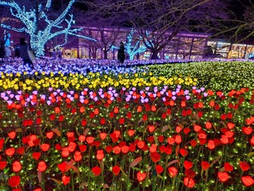 さがみ湖MORI MORIに投稿された画像（2021/12/24）