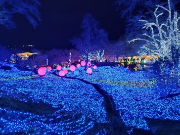 さがみ湖MORI MORIに投稿された画像（2021/12/24）