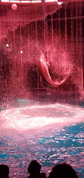 マクセル アクアパーク品川に投稿された画像（2021/12/24）