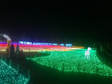 東武動物公園に投稿された画像（2021/12/24）