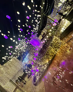 ひらかたパークに投稿された画像（2021/12/25）