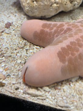 サンシャイン水族館に投稿された画像（2021/12/25）