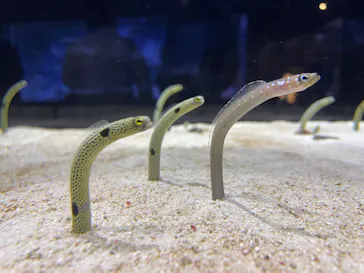 すみだ水族館に投稿された画像（2021/12/25）