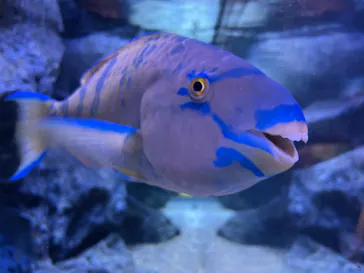 すみだ水族館に投稿された画像（2021/12/25）