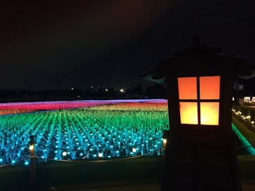 東京メガイルミに投稿された画像（2021/12/25）