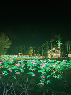 美らヤシパークオキナワ・東南植物楽園に投稿された画像（2021/12/25）