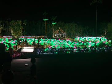 美らヤシパークオキナワ・東南植物楽園に投稿された画像（2021/12/25）