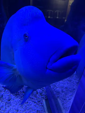 すみだ水族館に投稿された画像（2021/12/25）