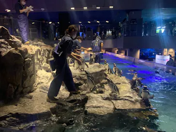 すみだ水族館に投稿された画像（2021/12/25）