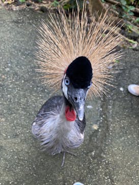 ネオパークオキナワに投稿された画像（2021/12/25）