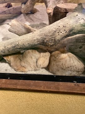 ネオパークオキナワに投稿された画像（2021/12/25）