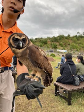 ネオパークオキナワに投稿された画像（2021/12/25）