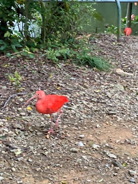 ネオパークオキナワに投稿された画像（2021/12/25）