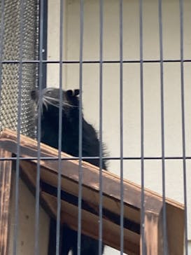 ネオパークオキナワに投稿された画像（2021/12/25）