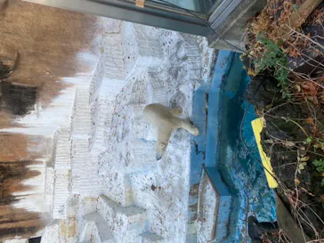 天王寺動物園に投稿された画像（2021/12/25）