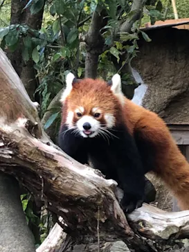 ひらかたパークに投稿された画像（2021/12/25）