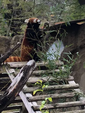 ひらかたパークに投稿された画像（2021/12/25）