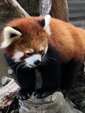 ひらかたパークに投稿された画像（2021/12/25）