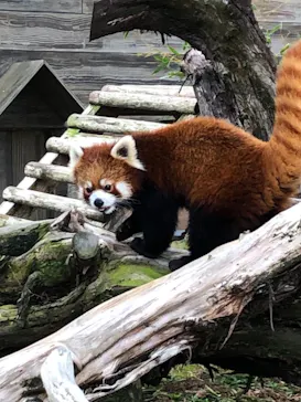 ひらかたパークに投稿された画像（2021/12/25）