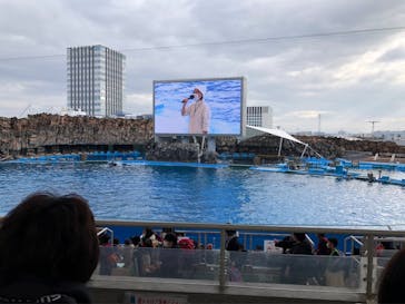 名古屋港水族館に投稿された画像（2021/12/25）