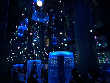 マクセル アクアパーク品川に投稿された画像（2021/12/25）