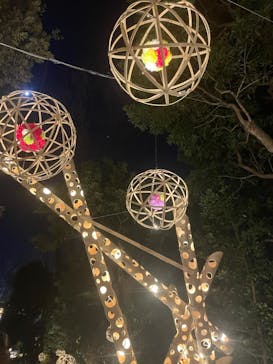 よみうりランド 遊園地に投稿された画像（2021/12/25）