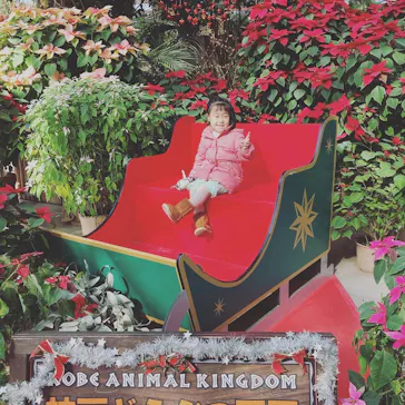 神戸どうぶつ王国に投稿された画像（2021/12/25）