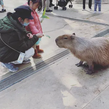 神戸どうぶつ王国に投稿された画像（2021/12/25）