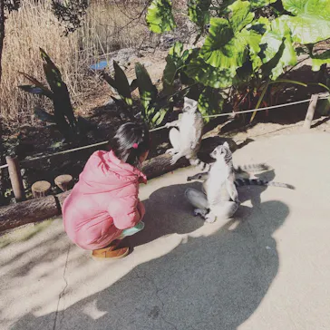 神戸どうぶつ王国に投稿された画像（2021/12/25）