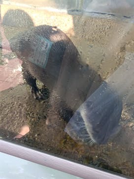 新江ノ島水族館に投稿された画像（2021/12/25）