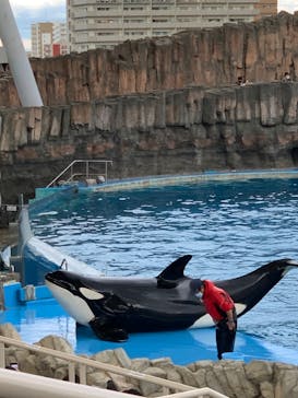 名古屋港水族館に投稿された画像（2021/12/25）