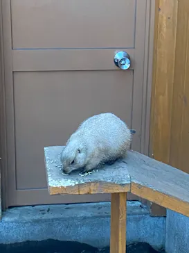 横浜・八景島シーパラダイスに投稿された画像（2021/12/25）