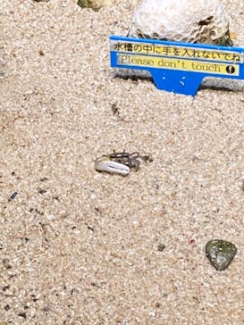 サンシャイン水族館に投稿された画像（2021/12/25）