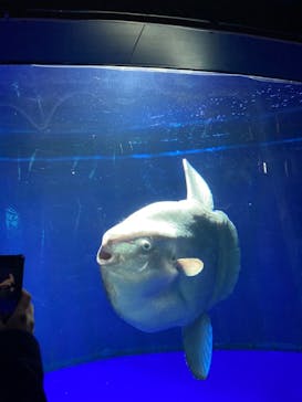 サンシャイン水族館に投稿された画像（2021/12/25）