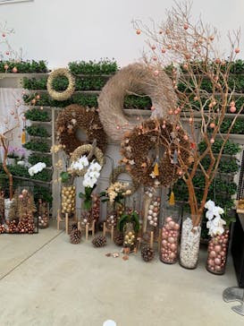 よみうりランド HANA･BIYORIに投稿された画像（2021/12/25）