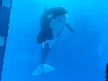 名古屋港水族館に投稿された画像（2021/12/25）