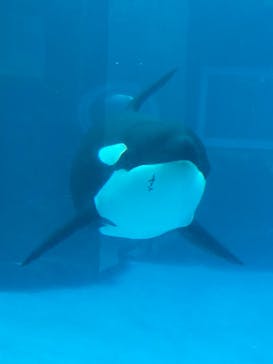 名古屋港水族館に投稿された画像（2021/12/25）
