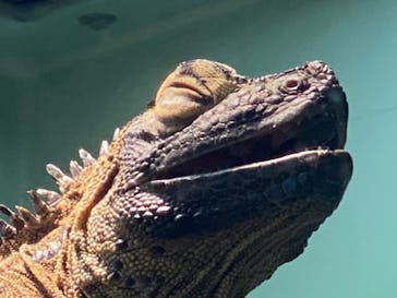 サンシャイン水族館に投稿された画像（2021/12/25）