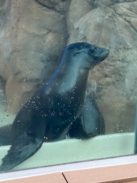 サンシャイン水族館に投稿された画像（2021/12/25）